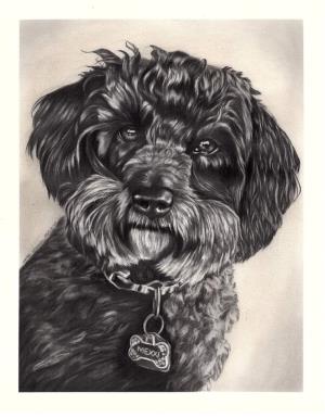 Commission Custom 8x10" Black and White Pet Portrait Drawing (Single Pet)