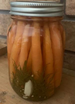 Pickled Alberta Baby Carrots