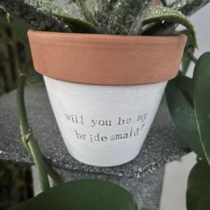 Will you be my bridesmaid? plant not included, gift, planters, bridesmaids gifts, MOH gifts - PERSONALIZE IT