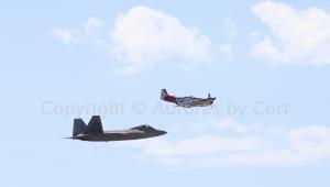 Heritage Flight 2 - Raptor and Mustang - Photographic Print