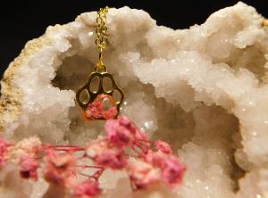 Paw Print Charm Necklace - Gold/Pink Flower