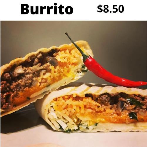Frozen Beef Burrito