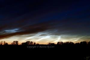 Noctilucent Wonder