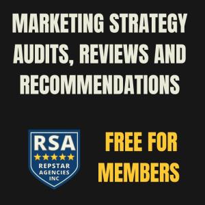 Marketing Strategy Audit, Review and Recommendations