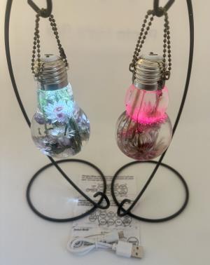 Straw Flower Lightbulb Night Light/Home Decor