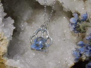 Paw Print Charm Necklace - Silver / Forget Me Not Flower