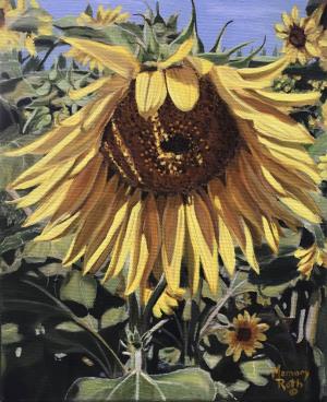 Sunflower Shade