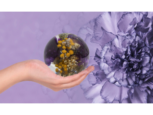 Purple Carnation Sphere